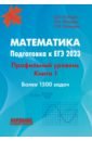 ЕГЭ 2023 Математика. Профильный уровень. Книга 1