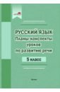 Планы-конспекты уроков по развитию речи. 5 класс карасева и в русский язык 5 класс конспекты уроков по развитию речи