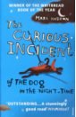 Haddon Mark The Curious Incident of the Dog In the Night-time child lee mina denise fowler christopher invisible blood stories of murder and mystery