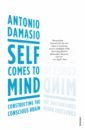 Damasio Antonio Self Comes to Mind kaku m the future of the mind the scientific quest to understand enhance and empower the mind
