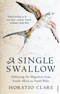 A Single Swallow. Following An Epic Journey From South Africa To South Wales