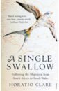 Clare Horatio A Single Swallow. Following An Epic Journey From South Africa To South Wales lutz liza the swallows