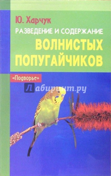 Разведение и содержание волнистых попугайчиков