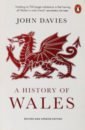 Davies John A History of Wales welsh i the blade artist