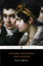 Goethe Johann Wolfgang Elective Affinities goethe johann wolfgang the sorrows of young werther