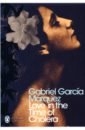 Marquez Gabriel Garcia Love in the Time of Cholera mahmurova veronika labyrinth of love