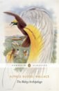 Wallace Alfred Russel The Malay Archipelago lindo david the extraordinary world of birds