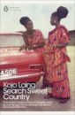Laing Kojo Search Sweet Country paris portrait of a city