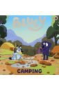 Camping all about bluey