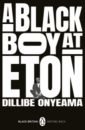 Onyeama Dillibe A Black Boy at Eton