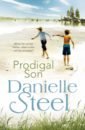 Steel Danielle Prodigal Son steel danielle one day at a time
