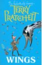 Pratchett Terry Wings raphael amy the ship of cloud and stars
