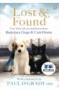 Lost and Found. True tales of love and rescue from Battersea Dogs & Cats Home cute miniature home fairy garden cats micro kitty landscape ornament decorations lucky cat diy figures for crafts and home decor