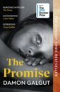 Galgut Damon The Promise toyne simon broken promise