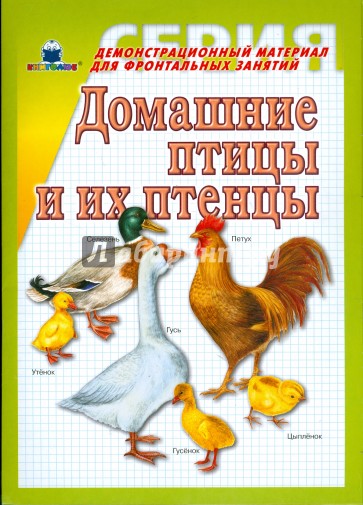 Домашние птицы и их птенцы. Демонстрационный материал для фронтальных занятий