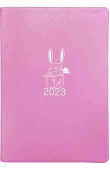    2023  Rabbit, 176 , 5, 