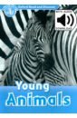 Bladon Rachel Oxford Read and Discover. Level 1. Young Animals Audio Pack bladon rachel oxford read and discover level 5 animal life cycles audio pack