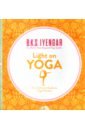 Iyengar B.K.S. Light on Yoga. The Definitive Guide to Yoga Practice шевцова ирина юрьевна the gift of yoga подарочный комплект dvd