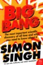 strogatz steven infinite powers the story of calculus the language of the universe Singh Simon Big Bang