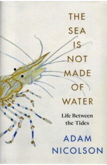 The Sea is Not Made of Water. Life Between the Tides