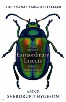 Extraordinary Insects. Weird. Wonderful. Indispensable. The ones who run our world