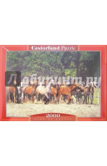 Puzzle-2000.С-200177. Табун лошадей.
