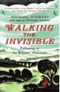 цена Stewart Michael Walking the Invisible