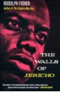 Fisher Rudolph The Walls of Jericho the jinx vols 001 151 by ted annemann magic tricks