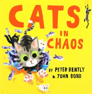 Cats in Chaos