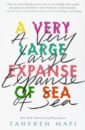 Mafi Tahereh A Very Large Expanse of Sea so tired