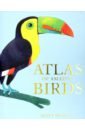 цена Sewell Matt Atlas of Amazing Birds
