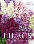 Lilacs. Beautiful varieties for home and garden
