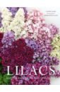 Slade Naomi Lilacs. Beautiful varieties for home and garden