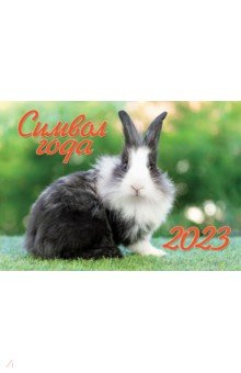 

Календарь на 2023 год настенный Символ года 1. Кролик