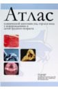 Атлас клинической анатомии уха, горла и носа у новорожденных и детей грудного возраста