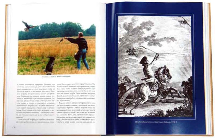 Иллюстрация 2 из 19 для Соколиная охота - Федоров, Малов | Лабиринт - книги. Источник: Лабиринт