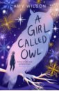 Wilson Amy A Girl Called Owl wilson amy shadows of winterspell