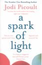 Picoult Jodi A Spark of Light novel book every taste is life prose collection life by feng zikai