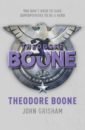 Grisham John Theodore Boone felix theo goldraub in berlin online