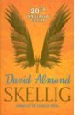 Almond David Skellig almond david the colour of the sun
