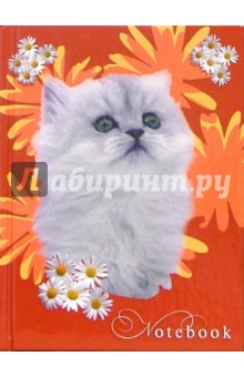Записная книжка А6 Белый котенок на красном /С94119.
