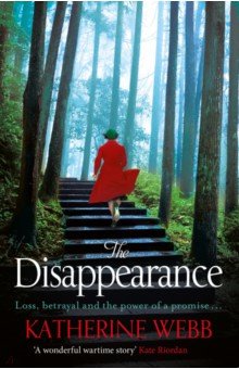 

The Disappearance