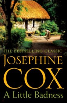 Обложка книги A Little Badness, Cox Josephine