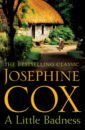 Cox Josephine A Little Badness цена и фото