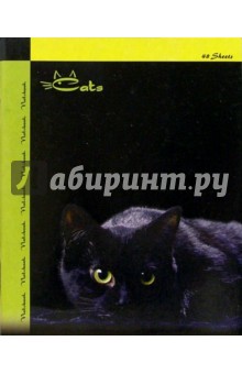 Тетрадь 48 листов (клетка) Черный кот /С15412.