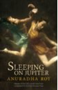 Roy Anuradha Sleeping on Jupiter