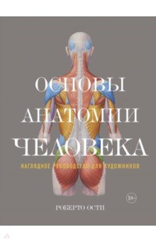 Основы анатомии человека. Наглядное руководство для художников