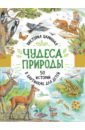Царинная Виктория Анатольевна Чудеса природы. 50 историй в картинках для детей
