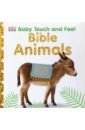Beets Sally Bible Animals