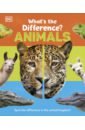 Rae Susie What's the Difference? Animals danielsson waters sophia spot the difference out and about